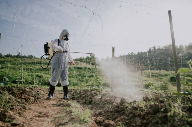 Best Pest Prevention Services  in Honesdale, PA