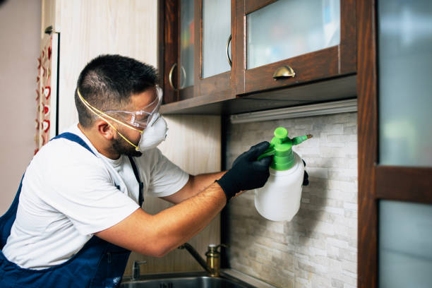 Best Pest Control Cost  in Honesdale, PA