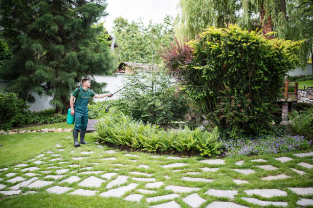 Best Pest Control Near Me  in Honesdale, PA