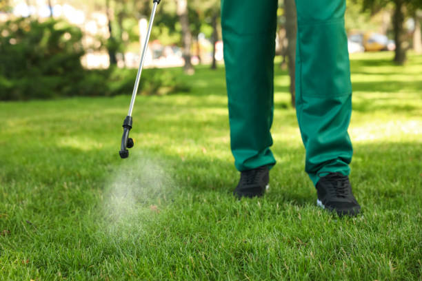Best Flea Control Services  in Honesdale, PA