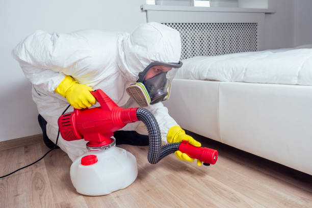 Best Termite Control Services  in Honesdale, PA