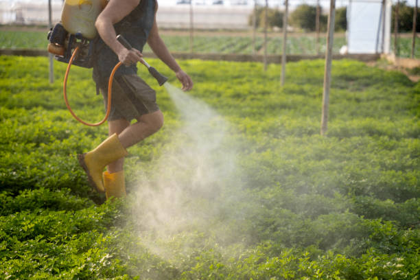 Best Mosquito Control Services  in Honesdale, PA
