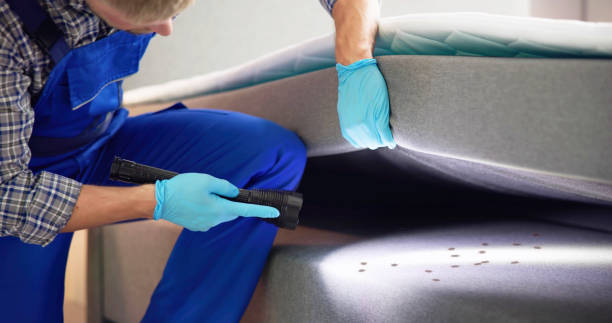 Best Exterminator Services  in Honesdale, PA