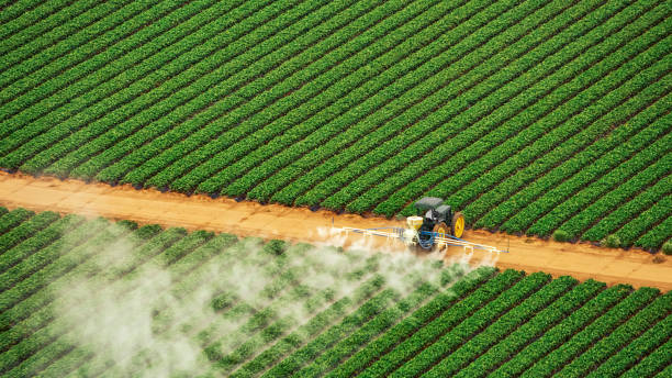 Best Pest Control Treatment  in Honesdale, PA