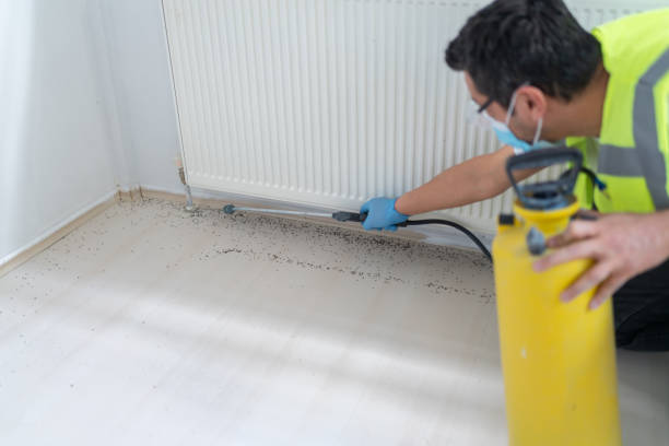 Best Bed Bug Extermination  in Honesdale, PA